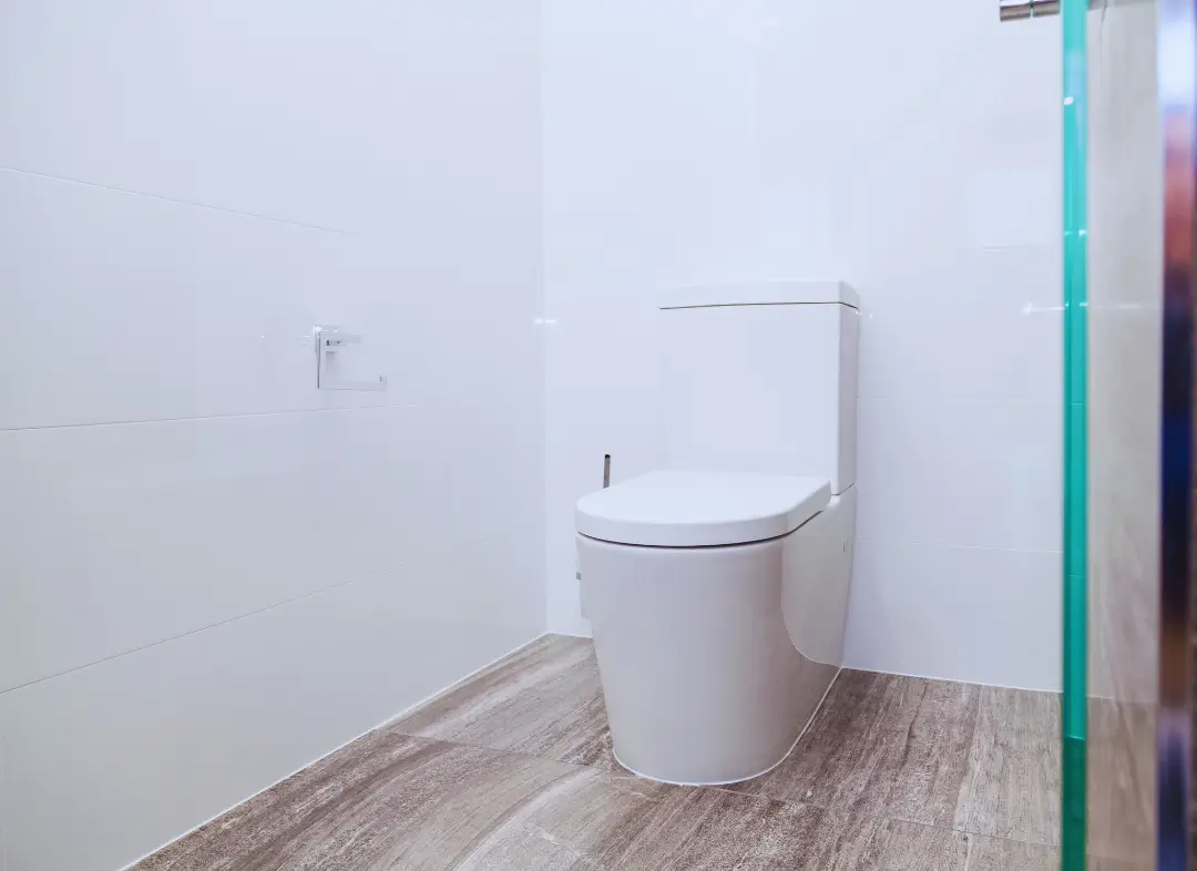 Remplacement de wc Vernou-sur-Brenne