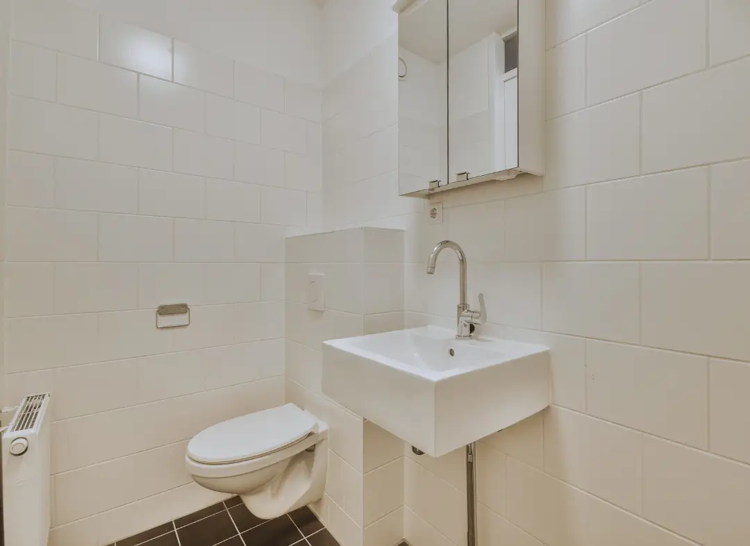 Pose WC Suspendu Vernou-sur-Brenne